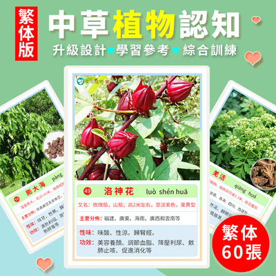 繁体中草藥本植物認知卡片兒童早教益智花卉花朵名詞百科知識教具