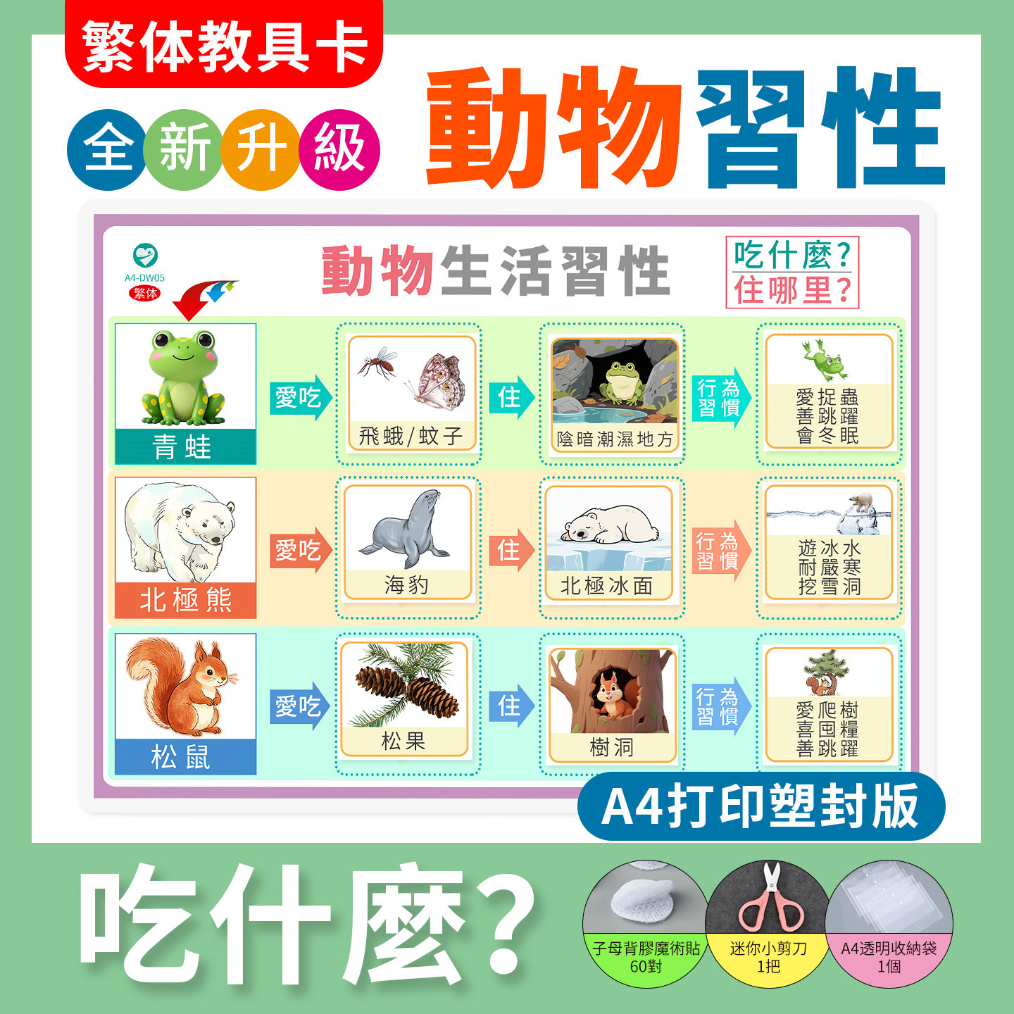 繁体動物習性吃什麼食物住哪里配對卡片幼稚園玩具兒童訓練教具