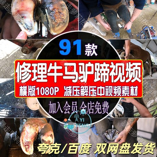 国外手艺人手工修理牛马驴蹄解压中视频抖音快手小说推文高清素材