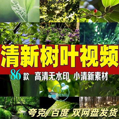 小清新树叶树林绿叶素材大自然唯美景色自媒体抖音高清实拍短视频