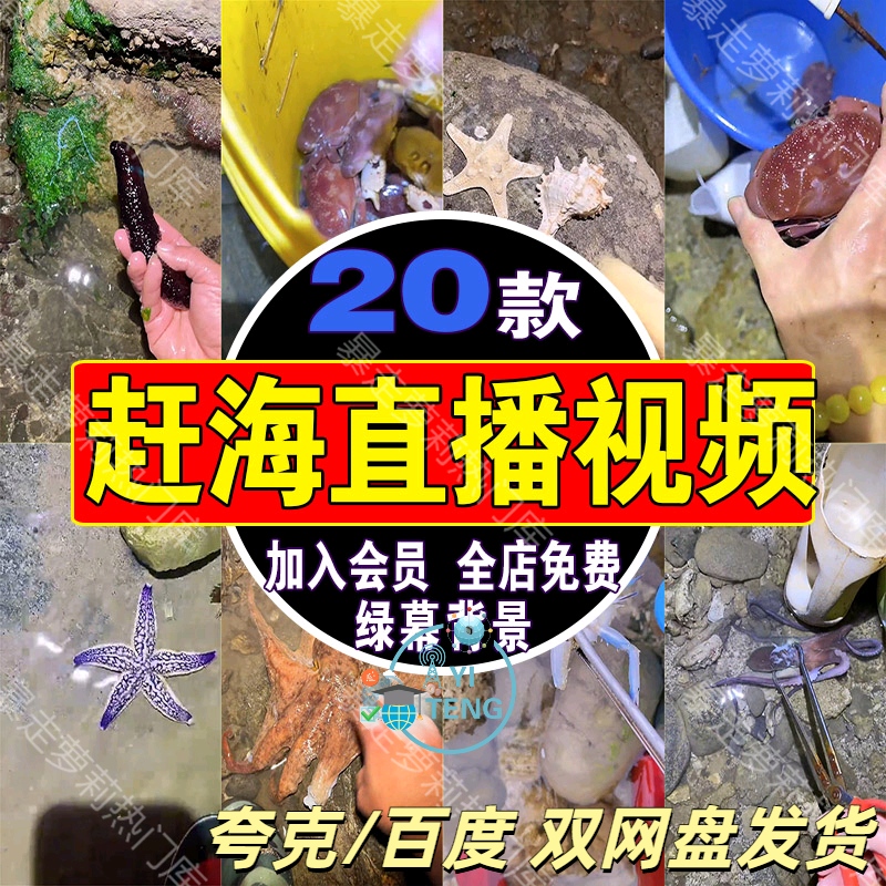 出海赶海海鲜抓鱼水产品直播间背景素材抖音动态高清带货录播视频