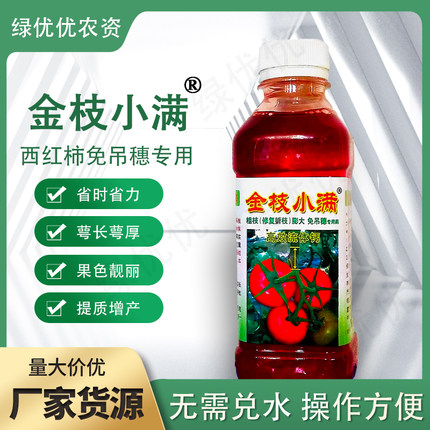 【西红柿专用】金枝小满免吊穗吊枝粗枝膨大增产番茄肥料坠不劈