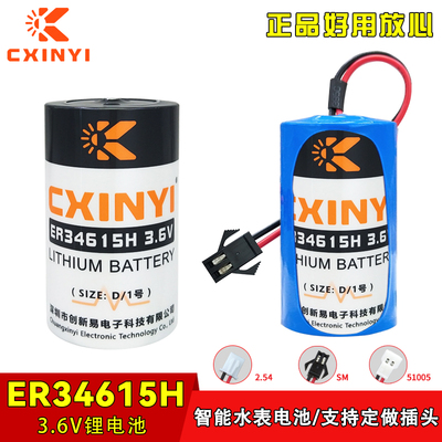 CXINYIER34615H涡轮流量计电池