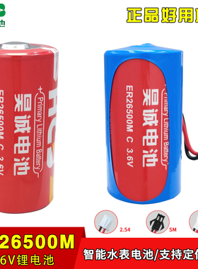 昊诚ER26500M智能水表煤气燃气表流量计2号C型3.6V锂电池组LSH14