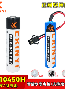 CXINYI ER10450H大龙硕人时代供热温控器电子标签7号 3.6V锂电池