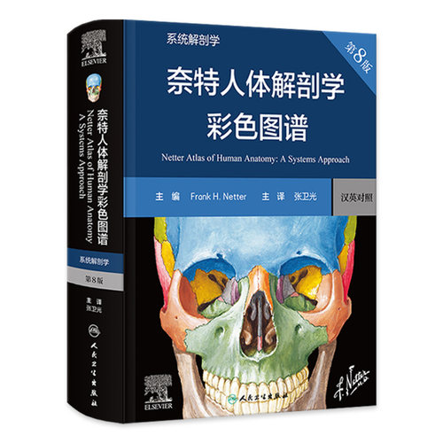 奈特人体解剖学彩色图谱系统解剖学第8版神经肌肉骨骼生理学基础肌动学图鉴列车格氏结构和功能八版正常法医人卫版解刨解剖