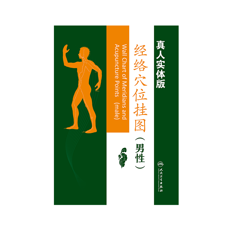 经络穴位挂图(男性版) 真人实体 人民卫生出版社9787117240215