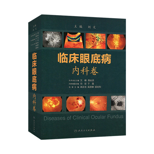 临床眼底病.内科卷9787117202008