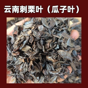 腐熟小刺栗叶发酵刀砍叶黄栗叶瓜子叶兰花专用土兰花植料兰花配料