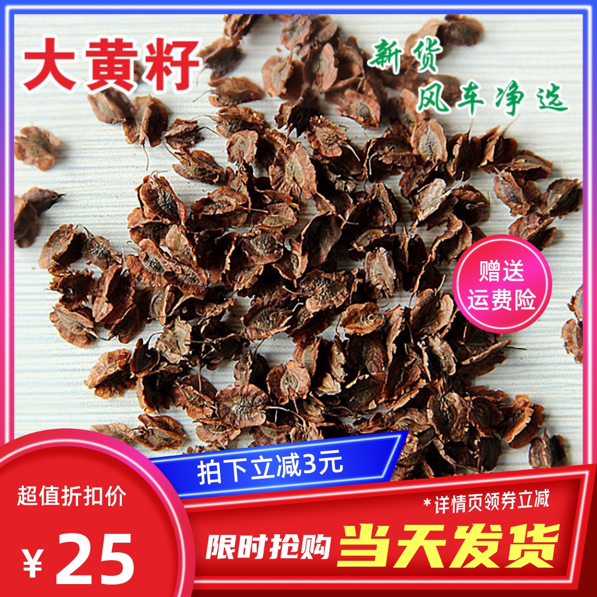 甘肃大黄种子500克包邮食用农产品新马蹄黄籽风车净选颗粒饱满