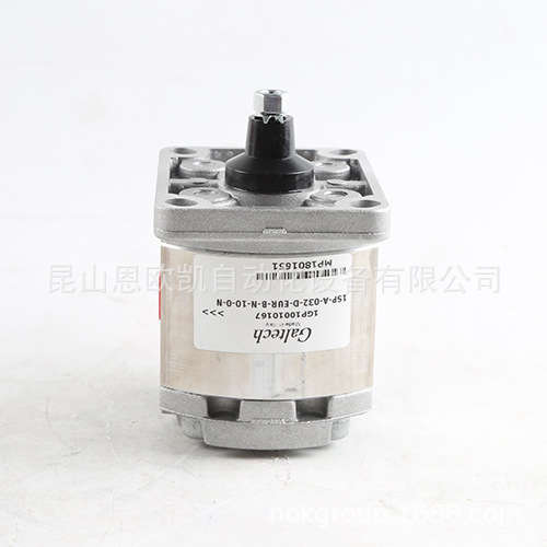 意大利GALTECH 齿轮泵1SP-A-032-D-EUR-B-N-10-0-N