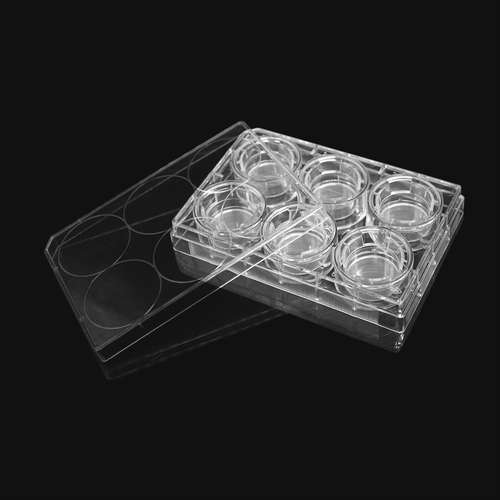 CKSLAB希开 细胞培养小室含6孔板(PET膜24mm孔径8μm)