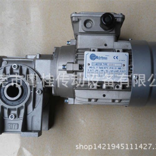 意大利DRDRIVES电机 DRDRIVES进口刹车电机T100LB4B5/3KW