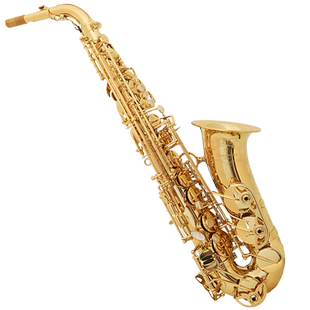 柳泽乐器yanagisawa中音萨克斯AWO10日本进口降e漆金AW010UL裸铜