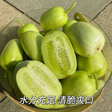 山东新鲜黄瓜水分充足清脆爽口食用农产品蔬菜