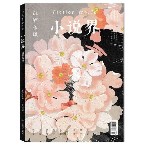 FictionWorld小说界杂志