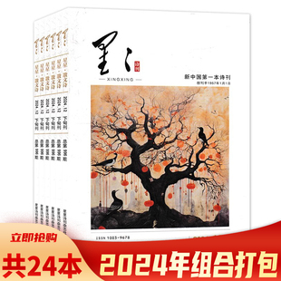 【套餐可选】共24本 星星诗刊杂志 2024年1-4/6/8-9/12上中下旬组合打包 旬刊：一月三刊 文学诗歌散文欣赏期刊杂志