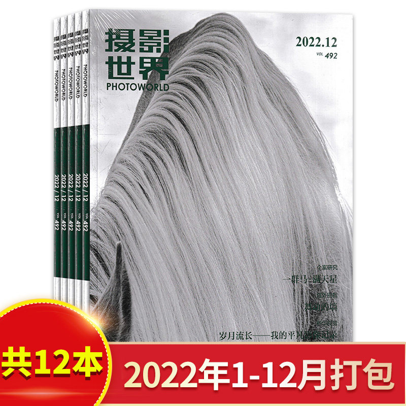 摄影世界杂志2022年1-12月
