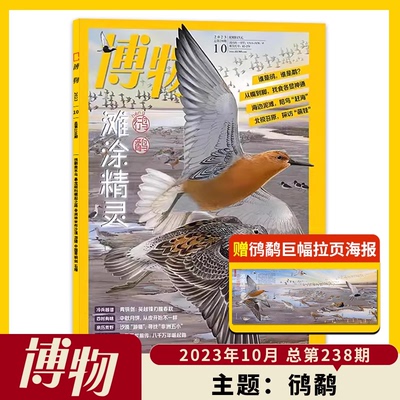 有切角【赠拉页海报】博物杂志2023年10月 鸻鹬 滩涂精灵 青铜剑 中秋月饼  中国国家地理少年版