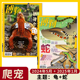 中国国家地理青少年版 共2本 自然科学探索动植物科普百科万物好奇号 2025年1月主题：蛇 2024年5月主题：龟 爬宠系列 博物杂志