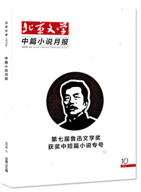 【1.98元/本】文学类杂志随机7本