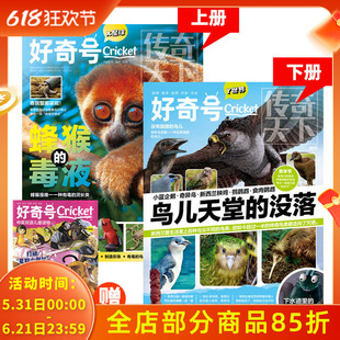 【共3本】好奇号Cricket杂志 2022年11月上下峰候的毒液鸟儿天堂没落 打破星期六的魔咒 中文版美国Cricket Media环球科学少儿科普