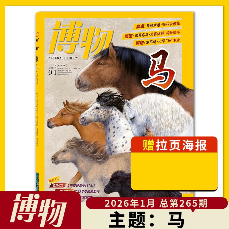【单期可选】博物杂志 2026年1月主题：马  中国国家地理青少年版自然科学探索动植物科普百科万物好奇号2023年