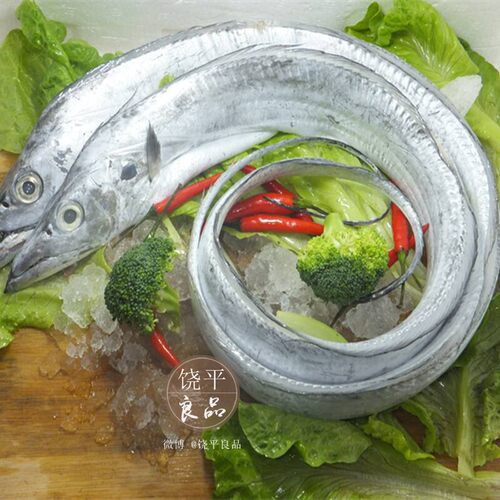 新鲜海捕黄金带鱼 野生刀鱼 小眼带鱼新鲜深海鱼东海一斤帮杀顺丰