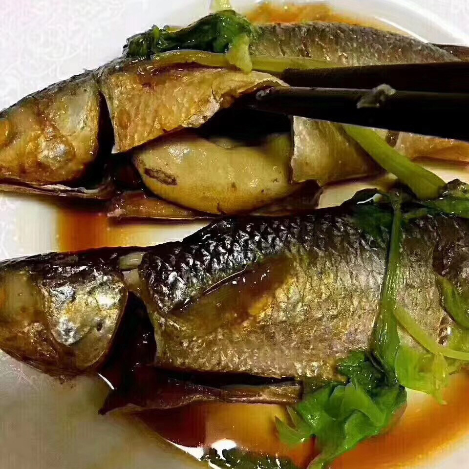 当天海捕 鲜活新鲜宝石鮻梭鲻 有籽鱼潮汕尖头鱼青头鱼500g去内脏