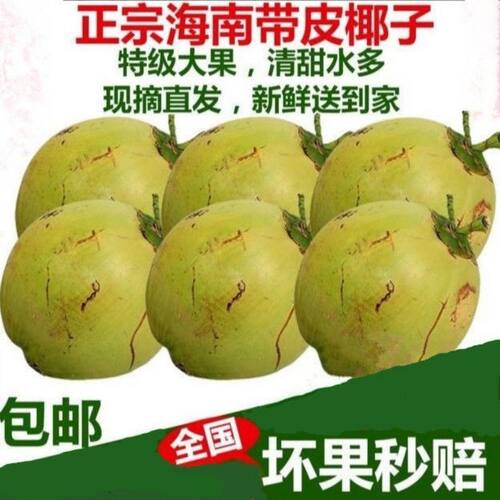 海南带皮椰青新鲜椰子当季青椰子热带水果孕妇小孩椰子水当季水果