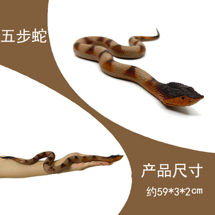 仿真动物模型TPR材质软胶五步蛇大蟒蛇尖吻蝮儿童整蛊玩具摆件