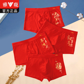 雅鹿内裤 初中学生本命年大红100%全棉高中 男青少年纯棉红色平角裤