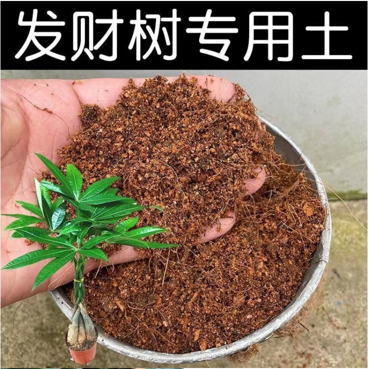 发财树专用土营养土发财树土有机酸性土壤盆栽植物种植土红土花肥