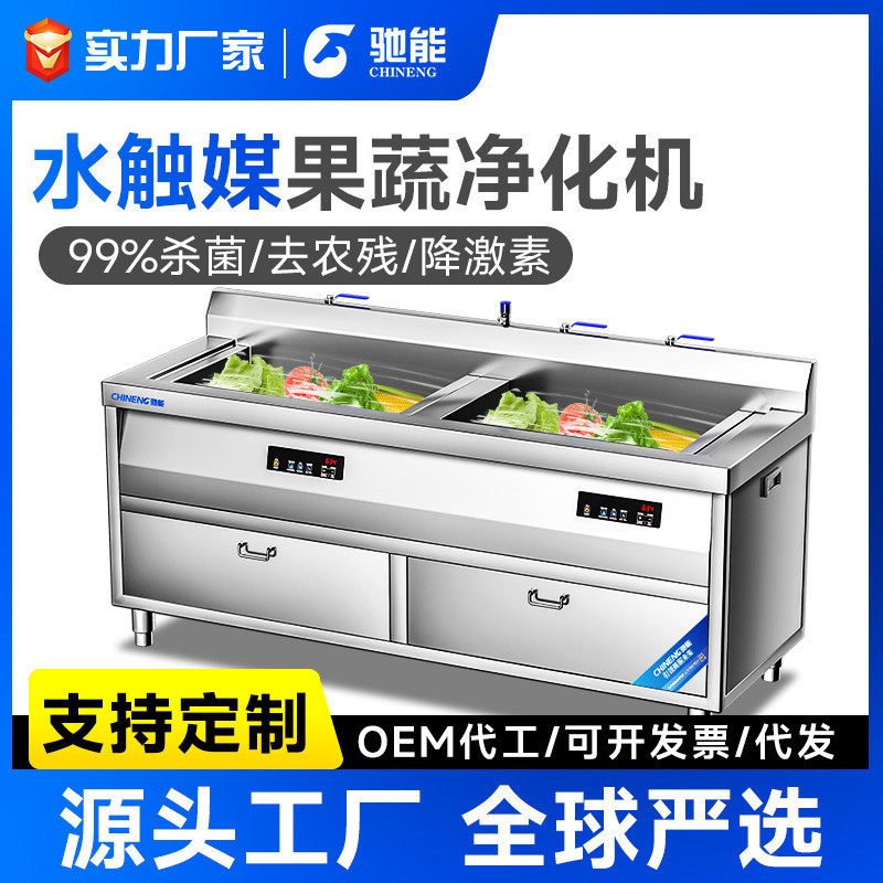 驰能商用嵌入式全动自动洗菜机家用果蔬清洗机水触媒净化机去农药