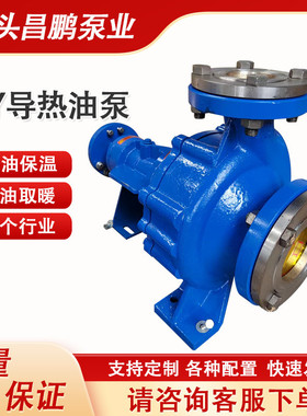 RY铸钢导热油泵 WRY50-32-160高温循环管道泵 BRY单级单吸离心泵