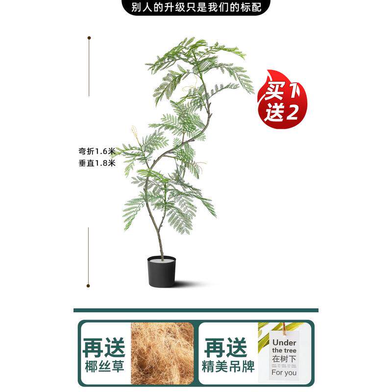 锦茯客厅落地摆件电视柜旁边装饰品假植物盆栽室内蓝花楹仿真绿植