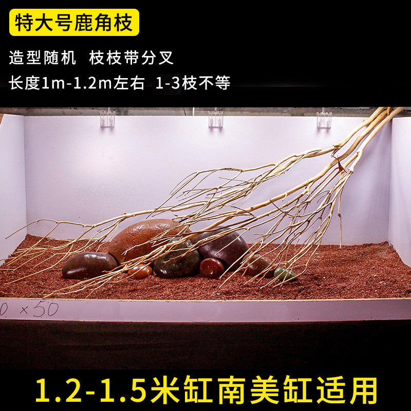 南美缸造景沉木鹿角枝大型树根树干树枝森林枯木布景天然装饰批发