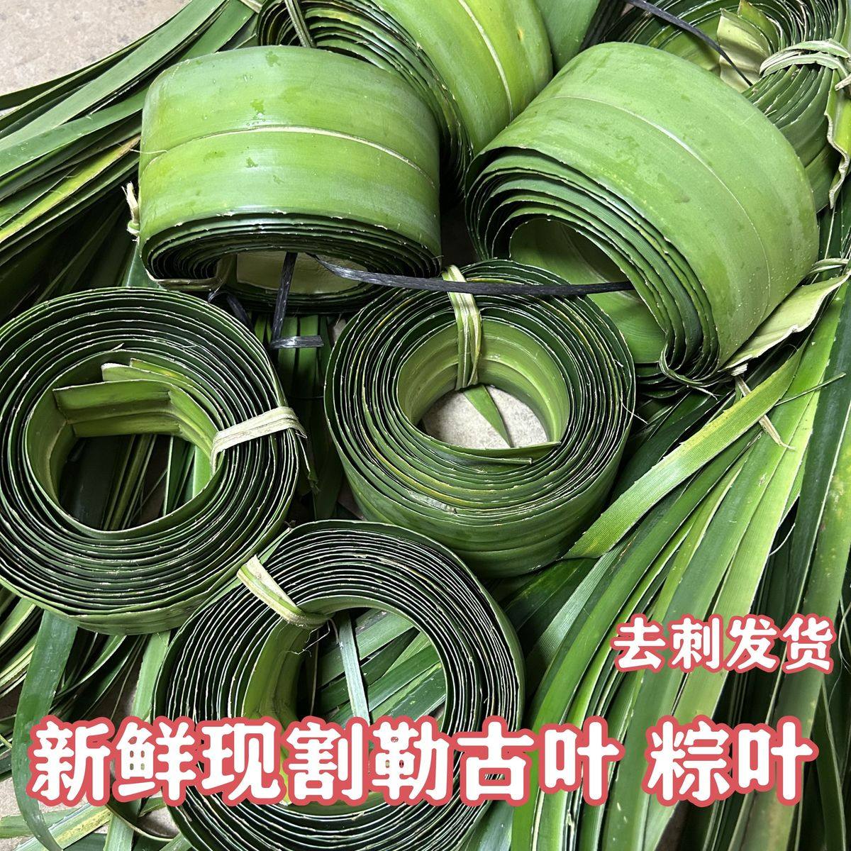 新鲜粽叶 现割去刺露兜叶 阳春特色绞古叶假菠萝粽叶 勒古粽子叶,粮油调味/速食/干货/烘焙,粽叶,淘宝优惠券,粉丝福利购,淘宝优惠卷