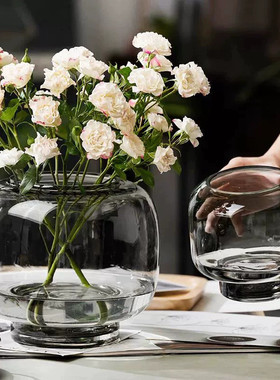 简约圆形大肚玻璃花瓶ins风创意水培花器客厅插花摆件装饰工艺品