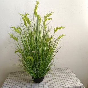 仿水稻田园风装 饰小麦仿真植物人造塑料田野造景稻谷仿真稻穗