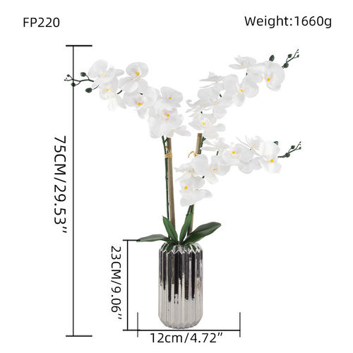 仿真蝴蝶兰植物盆栽蝴蝶兰装饰盆栽家居盆景陶瓷