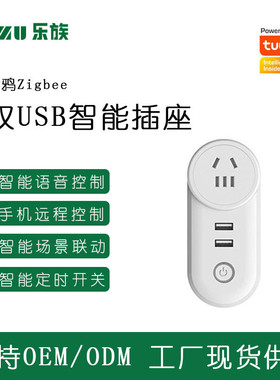 新款ZigBee直连双USB智能插座Alexa远程遥控语音定时双控智能插座