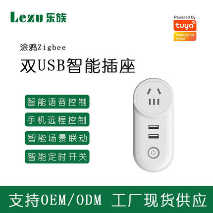 新款ZigBee直连双USB智能插座Alexa远程遥控语音定时双控智能插座