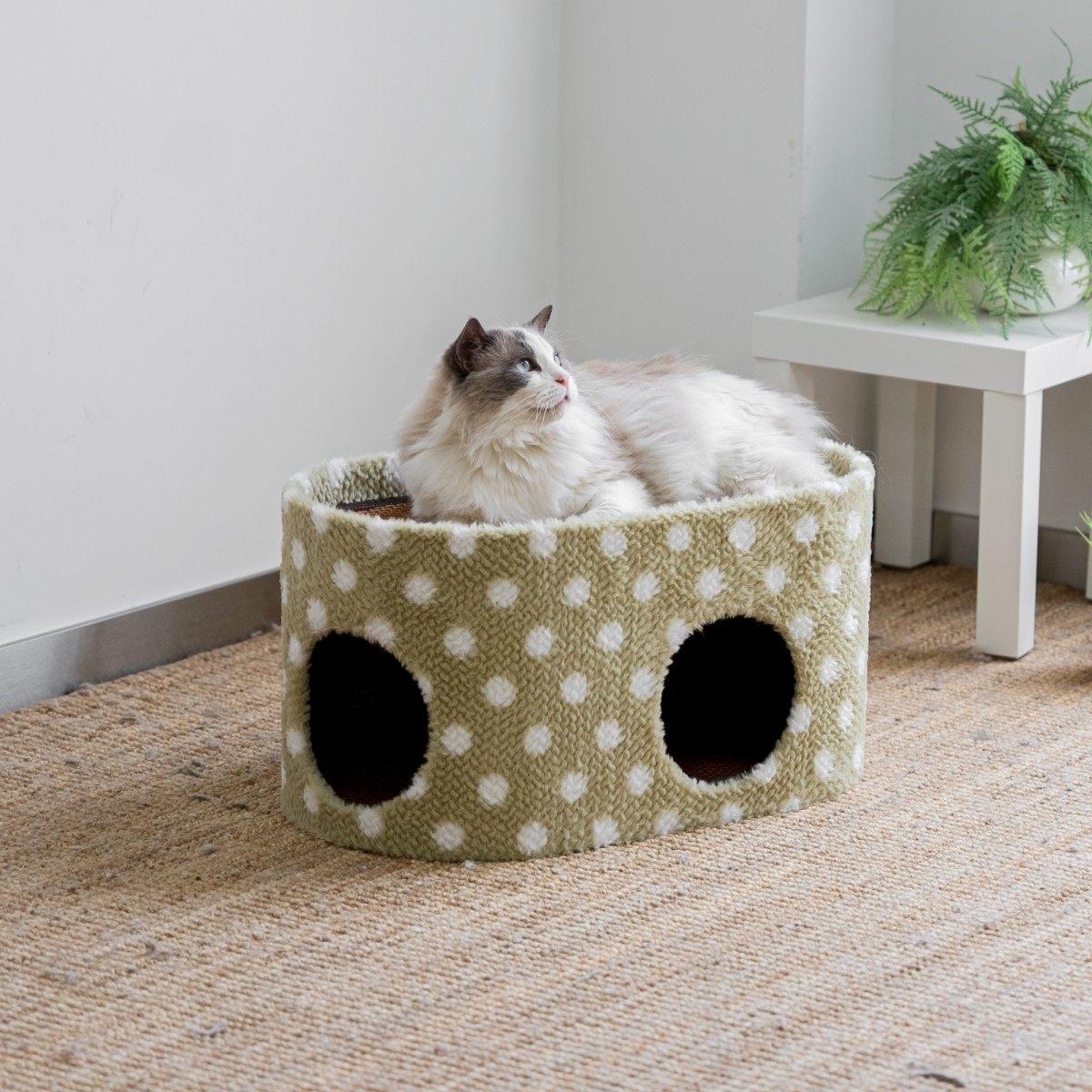 猫窝猫树猫爬架一体剑麻磨爪子猫抓板豪华四季垫子拆洗猫房子猫屋,宠物/宠物食品及用品,猫爬架,淘宝优惠券,粉丝福利购,淘宝优惠卷