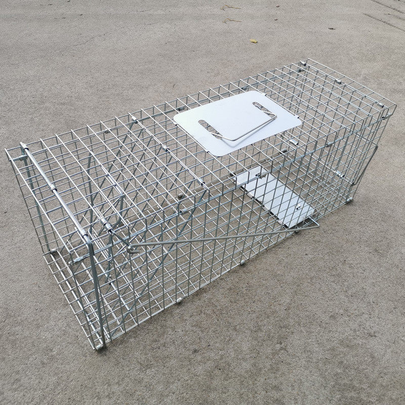人道救助捕猫笼全自动抓猫神器超市驱赶野猫流浪猫流浪动物救助