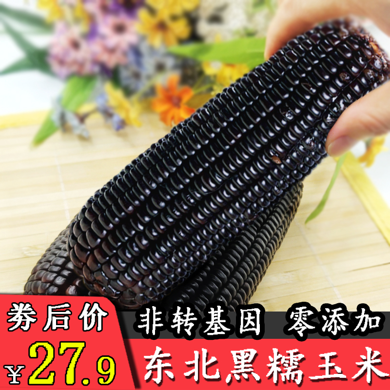 东北精品黑糯玉米10棒真空装微甜软糯零添加非转基因低脂代餐包邮