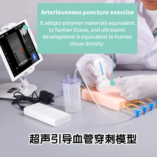 超声引导血管穿刺模型多普勒血流探查PICC置管动静脉穿刺训练教学