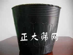 营养钵营养钵 加厚营养盆 营养杯 育苗盆 育苗杯 穴盆 穴盘