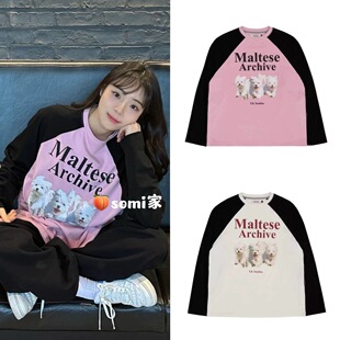 somi家韩国设计师waikei新款玛尔济斯犬马卡龙拼色打底长袖T恤