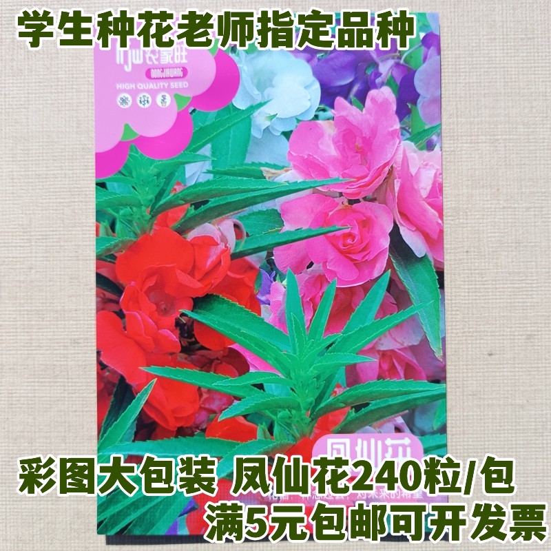 凤仙花种子学生种花学校实践观察茶花四季小学生礼品指甲花彩图装